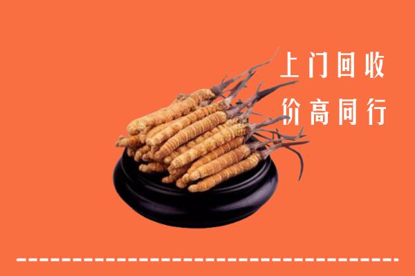 高价求购：新余市渝水回收散虫草